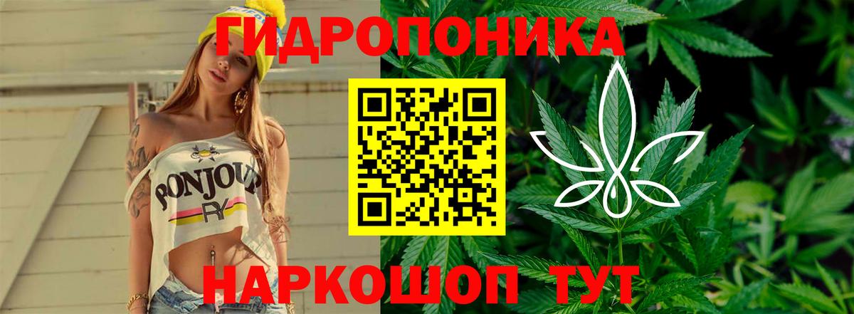 Марихуана White Widow  Марихуана семена  Вход с VPN  Канабис конопля  Петрозаводск 